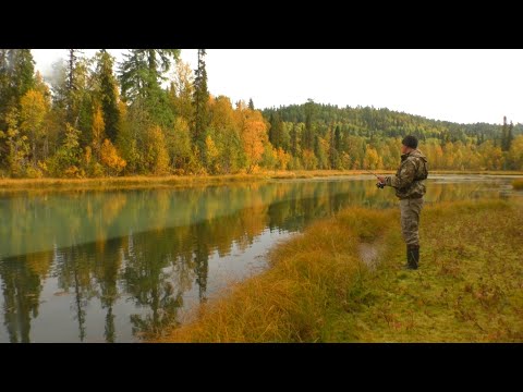 Видео: ЗАГАДОЧНОЕ ОЗЕРО. РЫБАЛКА НА ЩУКУ.