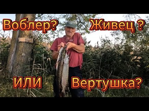 Видео: Лучшие приманки на Щуку В Октябре. Воблер Живец или Вертушка.