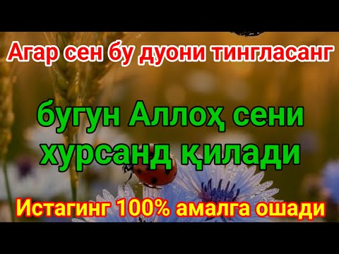 Видео: Бугун Аллоҳ сени хурсанд қилади, дуоинг қабул бўлади ва натижасини кўрасан.