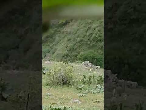 Видео: 23 августа 2024 г.