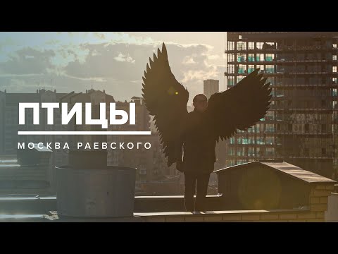 Видео: ПТИЦЫ | История Москвы - Москва Раевского