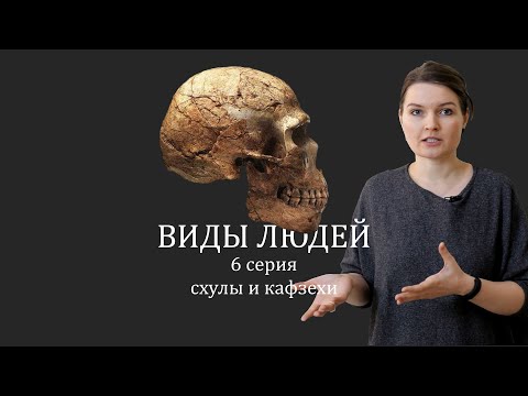 Видео: ВИДЫ ЛЮДЕЙ. 6 серия Схулы и Кафзехи. Елена Сударикова