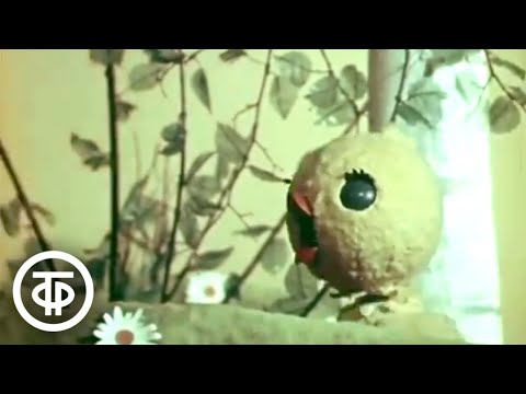 Видео: Мой брат страусенок (1971)