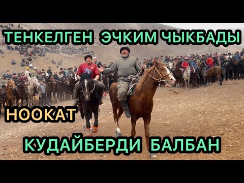 Видео: КУДАЙБЕРДИ БАЛБАНГА ЭЧКИМ ТЕН КЕЛБЕДИ НООКАТ УЛЛУТТУК ОЮН 👍👍