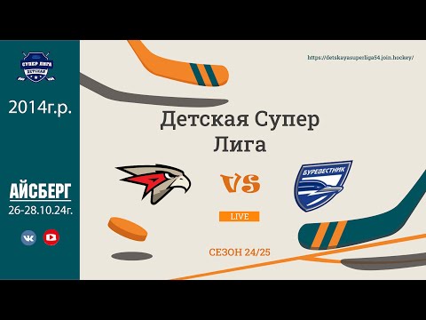 Видео: ХК Авангард(14) - ХК Буревестник(14) 28.10.24г