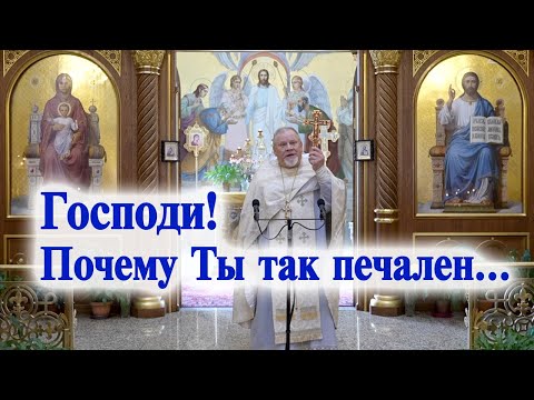 Видео: Господи! Почему Ты так печален... Проповедь свящ. Георгия Полякова в 8 неделю по Пятидесятнице.