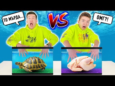 Видео: КАКВО ИМА В АКВАРИУМА CHALLENGE | WHAT'S IN THE BOX UNDERWATER