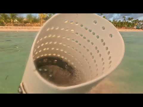 Видео: Прогулка с Equinox 900.