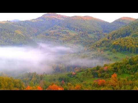 Видео: Автентичен местен фолклор от с. Глогово - Тетевенско. Любителска импровизация клавир - Рабишенце аги