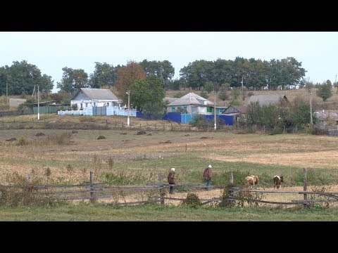 Видео: «Сельский порядок». Палатово Красногвардейского района (2.10.2019)
