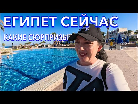 Видео: Египет 2024. КУДА я ПОПАЛА⁉️Mercury Hotel 4*. ПЕРВАЯ ЛИНИЯ с Ultra. Сервис Территория Номер. Хургада