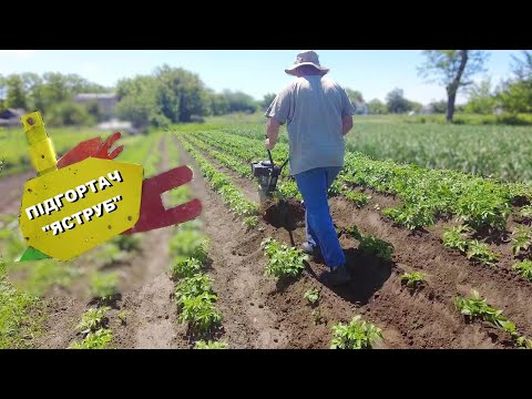 Видео: Шок! Підгортає картоплю як трактор!