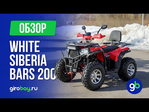 Видео: White Siberia BARS 200СС - так ли хорош бензиновый квадроцикл?