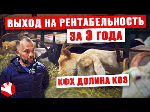 Видео: КФХ «Долина Коз» | Выход на рентабельность за 3 года | Козоводство и сыроварение