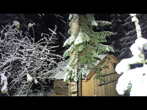 Видео: ИЗБА ВЫРУЧАЕТ! ВНЕЗАПНО НАКРЫЛА СНЕЖНАЯ БУРЯ. ПОВСЕДНЕВНЫЕ ТАЁЖНЫЕ БУДНИ И ХЛОПОТЫ.