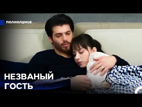 Видео: Для Назлы Спокойствие Это Объятия Ферита - Полнолуние