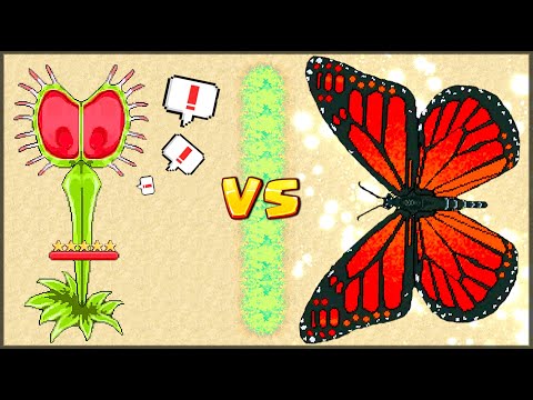 Видео: ВЕНЕРИНА МУХОЛОВКА МАКСИМАЛЬНОГО УРОВНЯ! ТЕСТ ВЕНЕРИНОЙ МУХОЛОВКИ - Pocket Ants: Симулятор Колонии