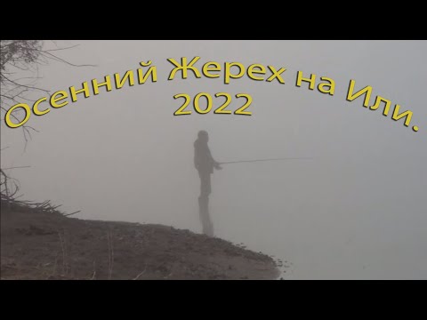 Видео: Осенний Жерех на Или  2022