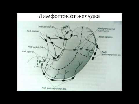 Видео: Лимфоотток от органов