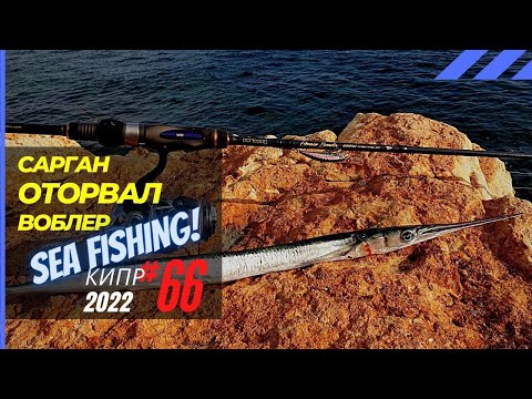 Видео: Крупный сарган отрывает воблер! Ловлю в море 🔥 Рыбалка на Кипре 🇨🇾 Часть 66 Сезон 2022