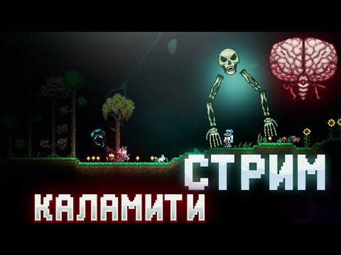 Видео: Стрим по Тераррии | Calamity, RPG, Zenith Progression | Общение, чил