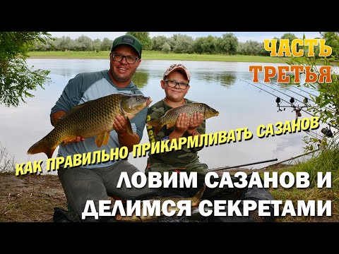 Видео: ЛОВИМ САЗАНОВ И ДЕЛИМСЯ СЕКРЕТАМИ. Как правильно  кормить сазанов. Часть третья.