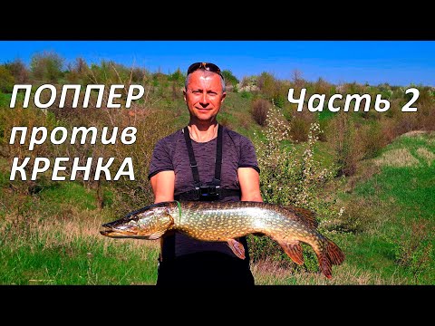 Видео: 🔥 ПОППЕР или КРЕНК (часть 2)? Битва легендарных воблеров и просто шикарная рыбалка на щуку! 🔥