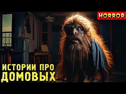 Видео: ИСТОРИИ ПРО ДОМОВЫХ. Страшные Истории на Ночь (4в1)