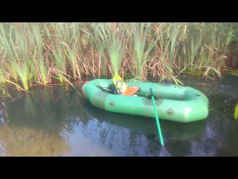 Видео: ЩУКА В АВГУСТЕ