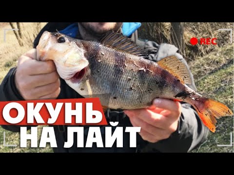 Видео: Ловля ОКУНЯ на ЛАЙТ! Рыбалка на водохранилище или КАК НАЙТИ ОКУНЯ?