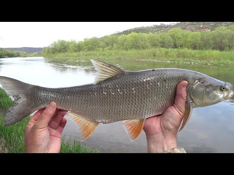 Видео: Дністер дав мені шанс