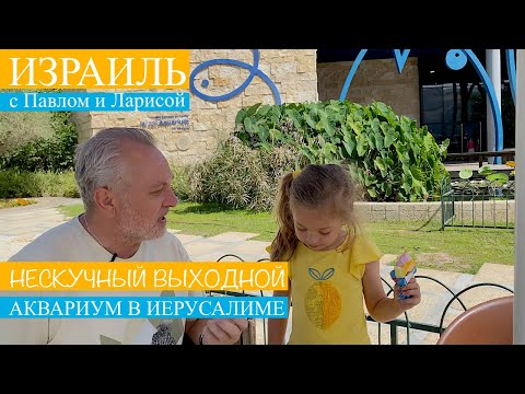 Видео: Израиль | Иерусалим | Нескучный выходной | Аквариум Израиля