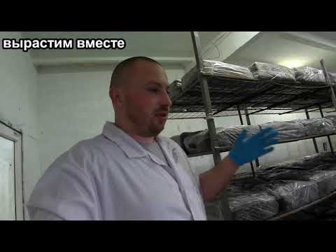 Видео: Как уменьшить бактериальный фон в камере выращивания. Гигиена после загрузки компоста.