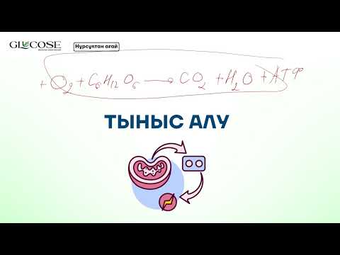 Видео: ТЫНЫС АЛУ | НҰРСҰЛТАН АҒАЙ
