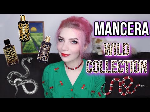 Видео: MANCERA wild collection. Ароматы МАНСЕРА дикая коллекция.Отзывы,обзор/Вайлд Коллекшн
