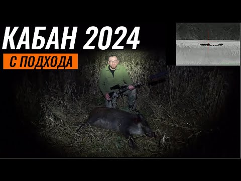 Видео: ОХОТА на Кабана с подхода 2024