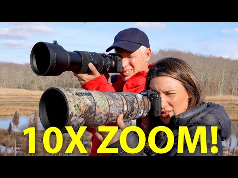 Видео: Sigma 60-600 против Sony 200-600: ЛУЧШИЙ ЗУМ-ОБЪЕКТИВ ДЛЯ СЪЕМКИ ДИКОЙ ПРИРОДЫ!