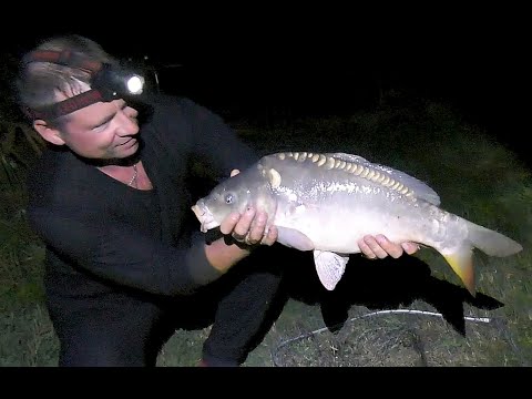 Видео: Ночные приключения в Александровке  3