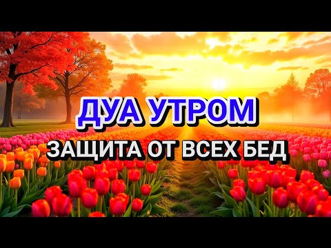 Видео: 🤲 СИЛЬНЕЙШЕЕ ДУА УТРОМ ОТ ВСЕХ БЕД 🤲