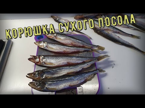 Видео: Вяленая корюшка быстрого посола