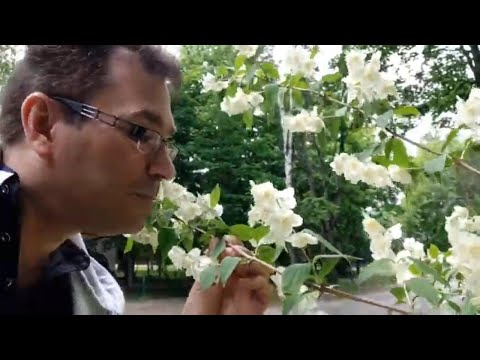 Видео: Влог💥 Собираюсь на дачу 🏡Про рекламу