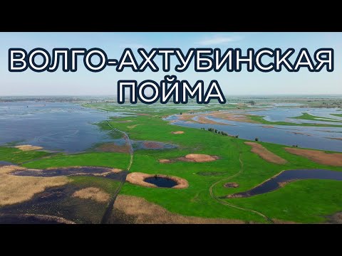 Видео: Волго-Ахтубинская пойма. Природный парк