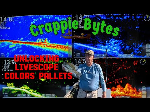 Видео: Открываем цветовые палитры Livescope! Найдите больше краппи #CrappieFishing #Livescope #fishingtips