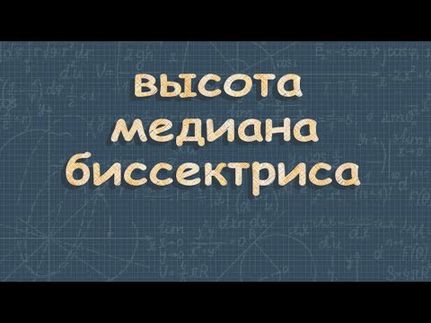 Видео: Высота медиана биссектриса