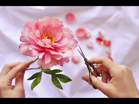Видео: Пион из фоамирана древовидный. Часть 1. Фактура на листьях и лепестках.