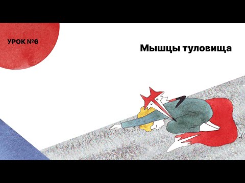 Видео: Растяжки от доктора Ильясова, УРОК 6: "Мышцы туловища"