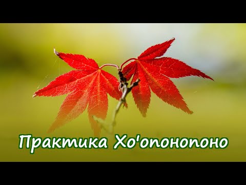 Видео: Практика Хо'опонопоно