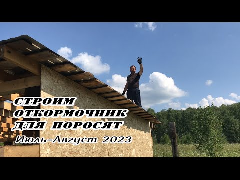 Видео: Строим откормочник для поросят 2023