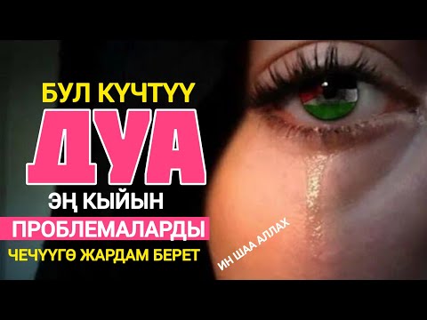 Видео: БУЛ КҮЧТҮҮ ДУБА ЭҢ КЫЙЫН ПРОБЛЕМАЛАРДЫ ЧЕЧҮҮГӨ ЖАРДАМ БЕРЕТ!