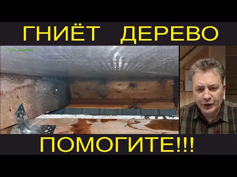 Видео: Помогите! Гниет дерево на доме! #Фото_анализ